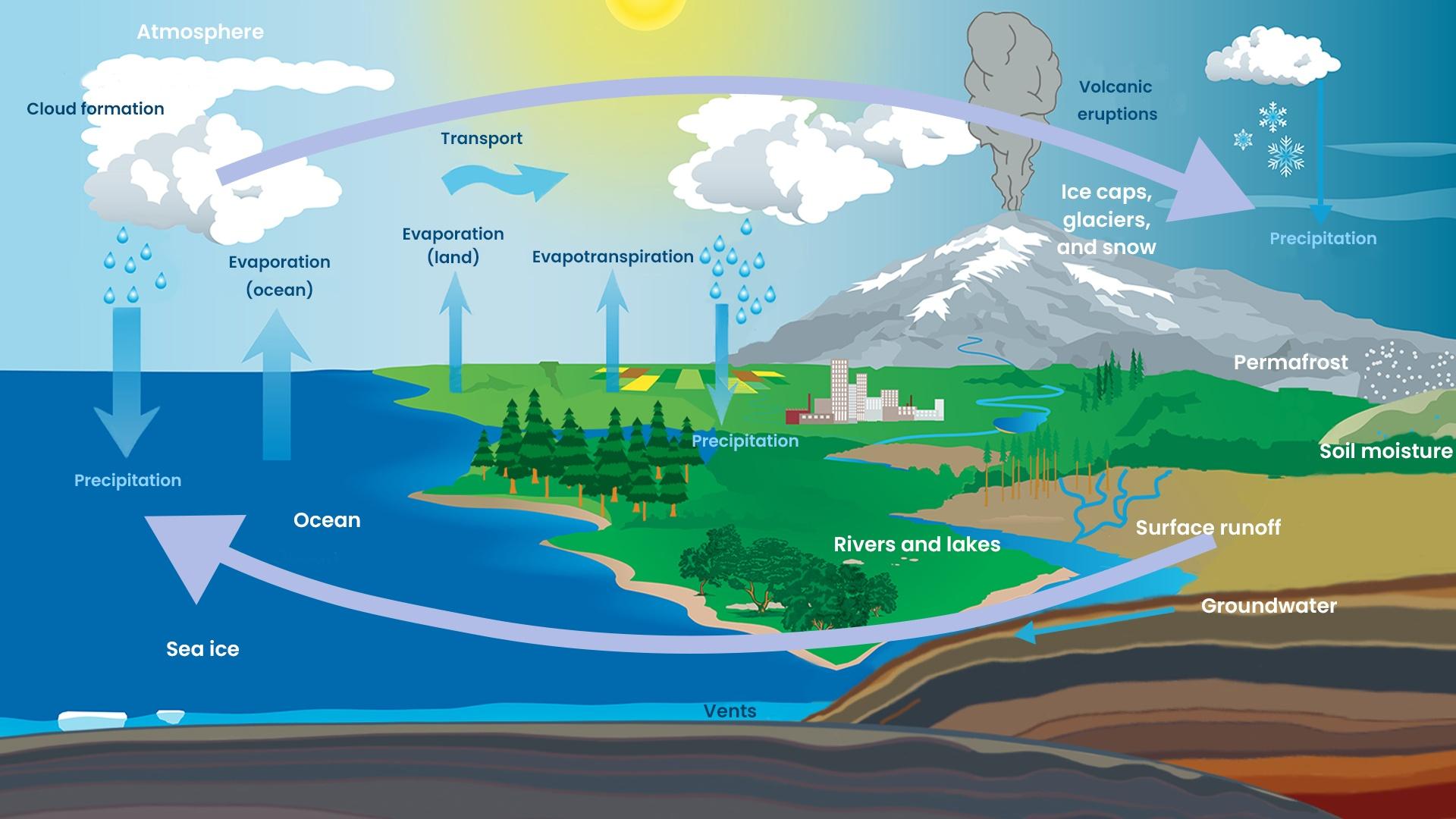 evaporation water cycle for kids