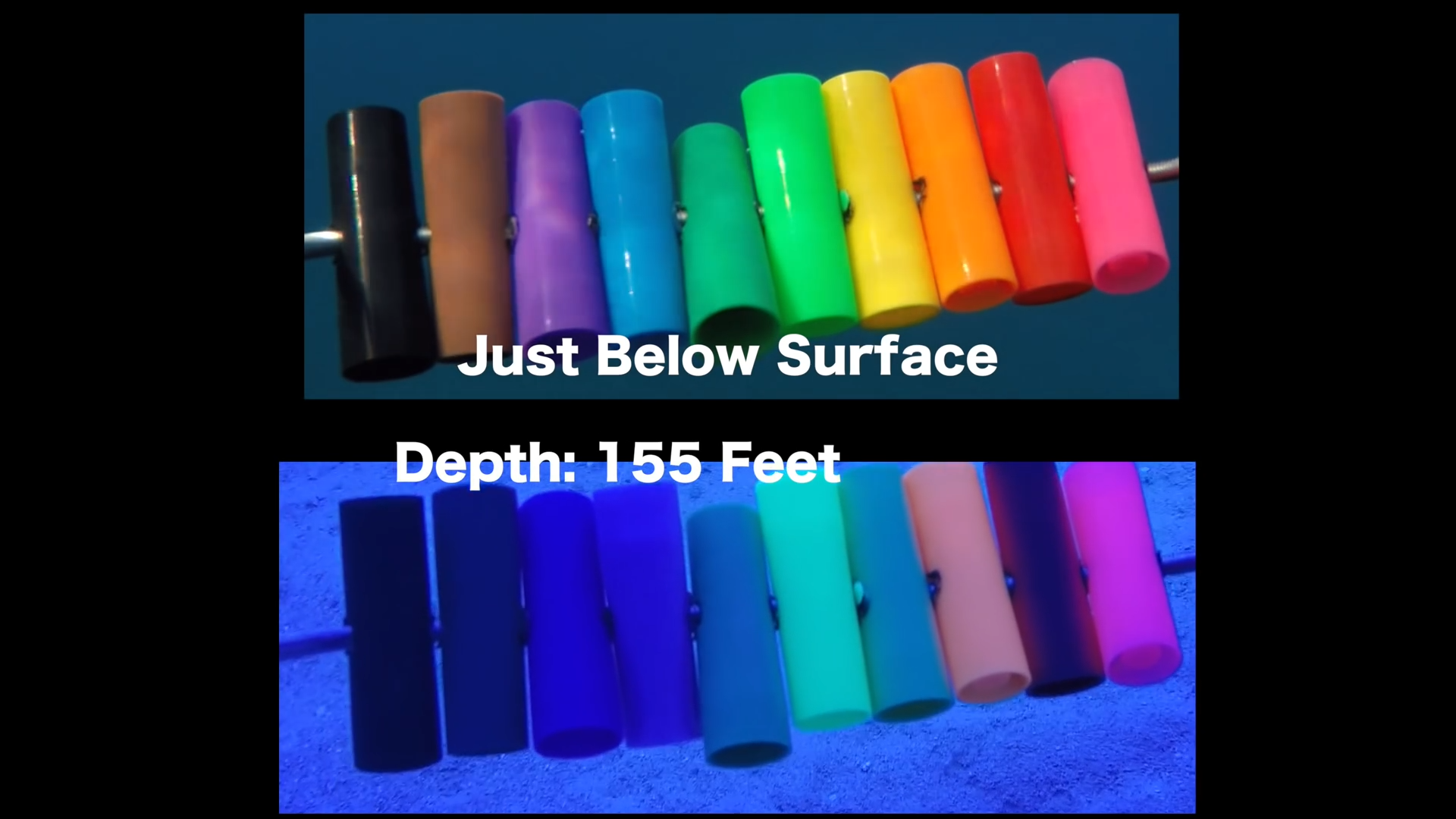 Colors Underwater PBS LearningMedia