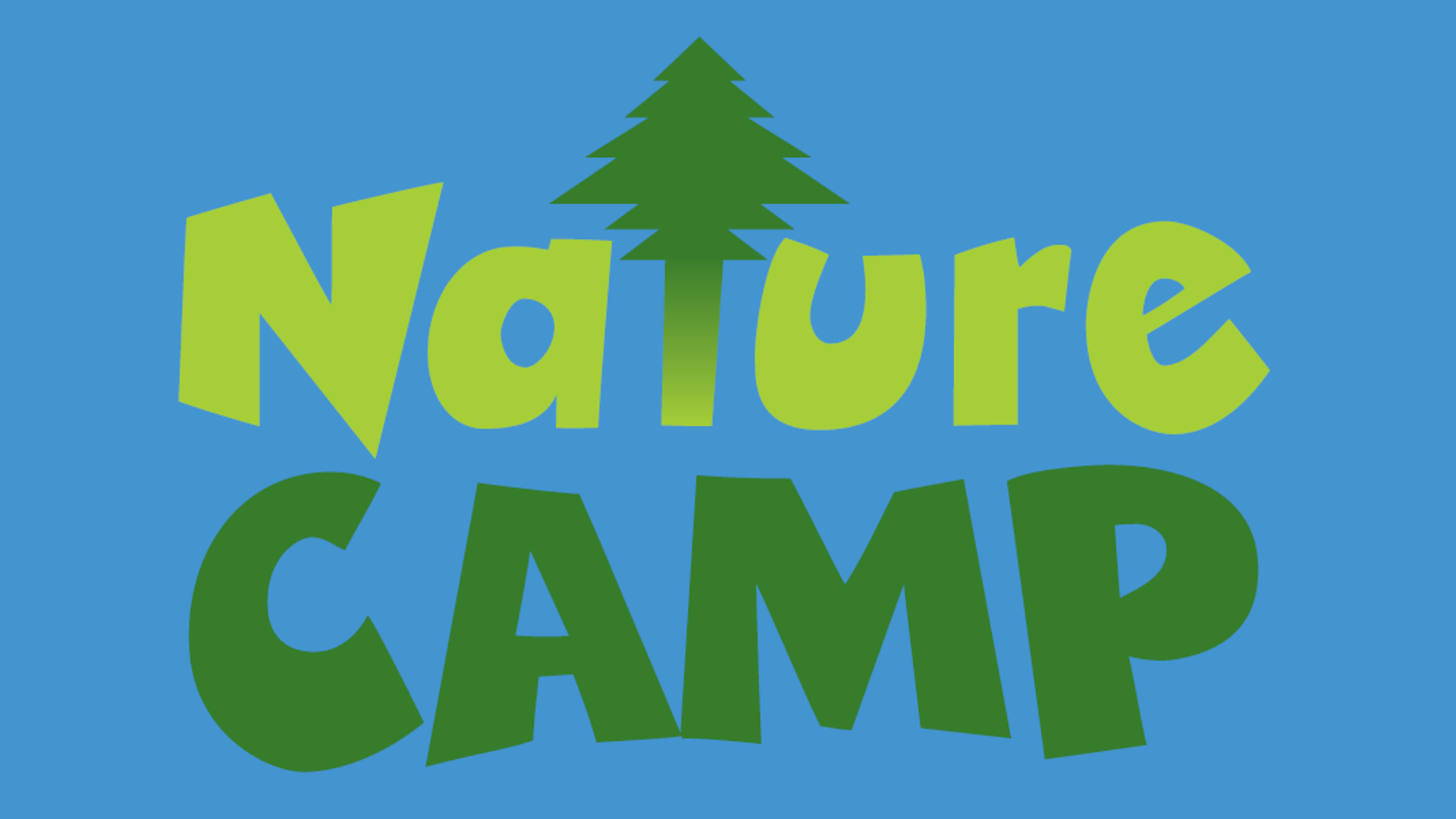 Life Cycle and Memory Game Instructions: Nature Camp, Ohio Learns 360