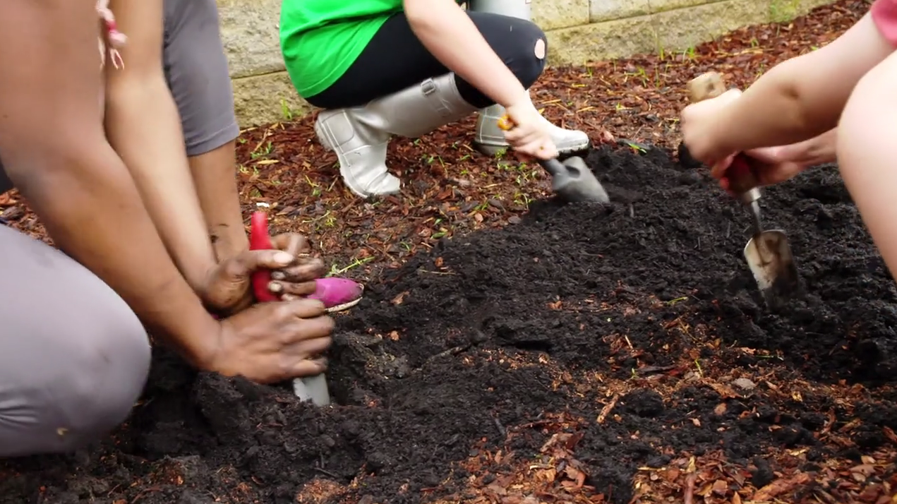 Caring For Your Garden Video Nature Lab Pbs Learningmedia