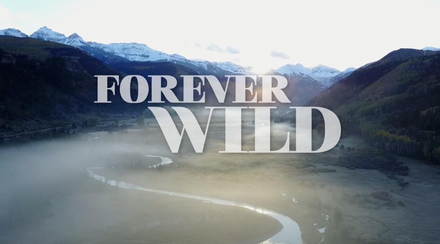 Mountain Lake PBS Documentaries, Forever Wild