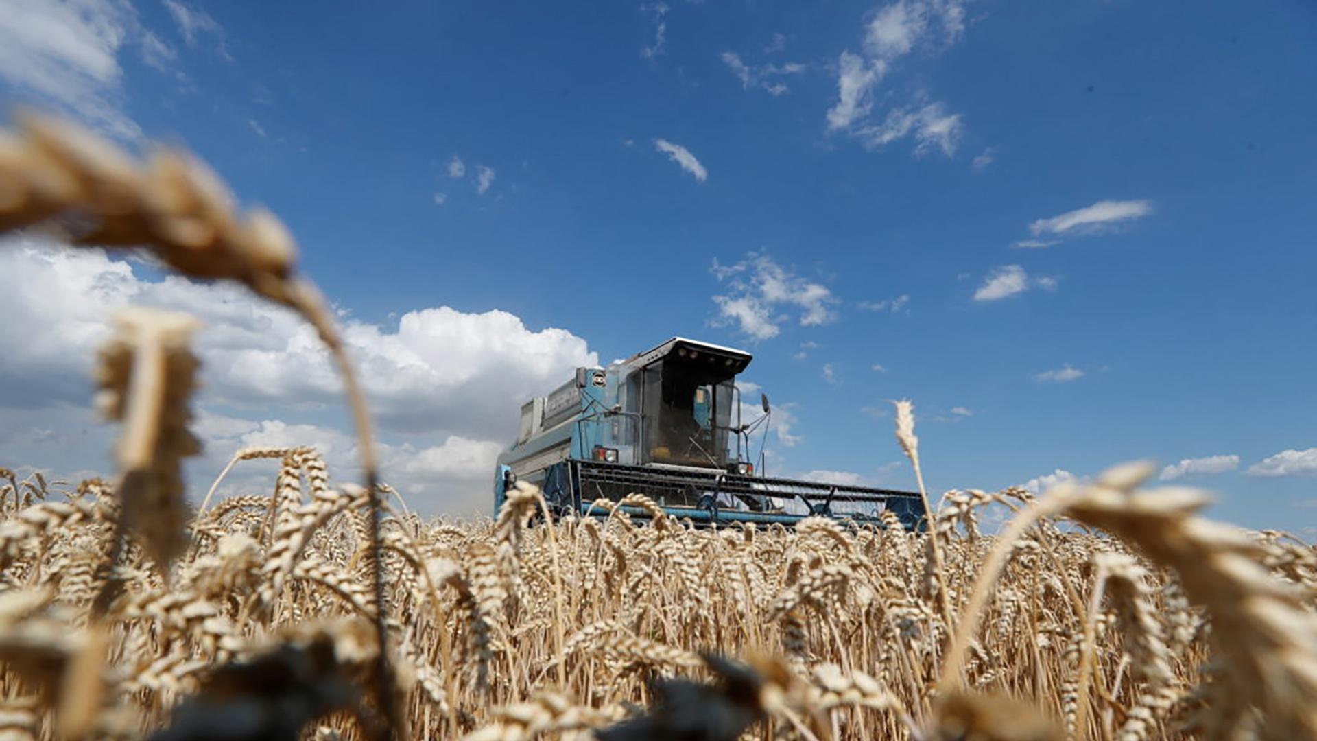 Russia's War in Ukraine Disrupts Worldwide Food Prices and Supply | PBS NewsHour | PBS LearningMedia