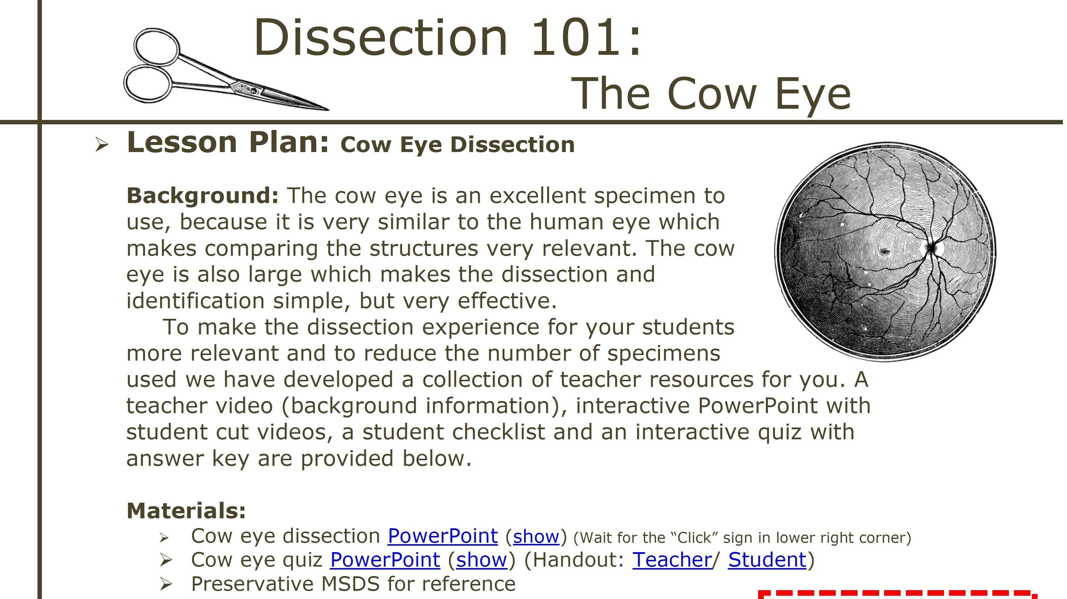 Dissection 101 Cow Eye Dissection Lesson Plan PBS LearningMedia