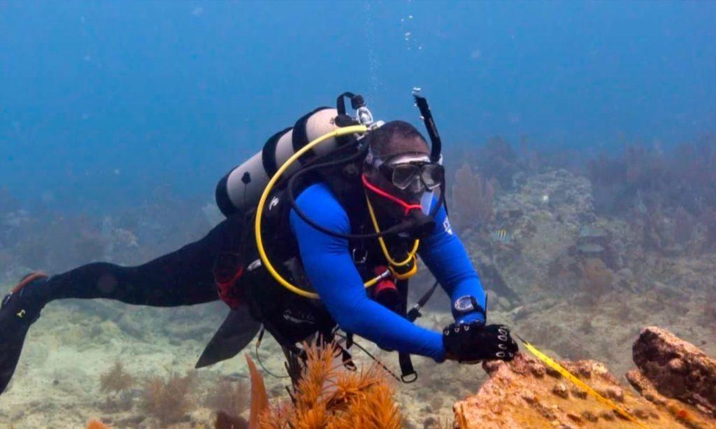 Black Scuba Divers Explore the Wreckage of Slave Ships and the ‘Untold American Story’ | Grades 6-8, 9-12 Social Studies Teaching and Lesson Resources
