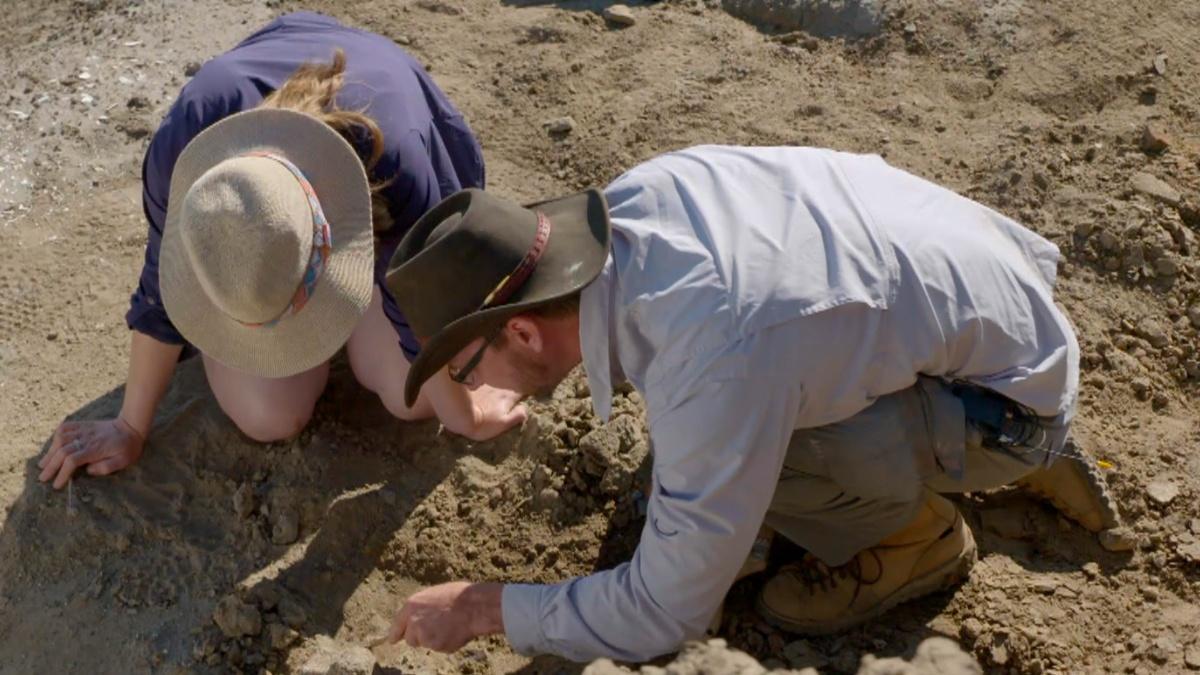 Gold-digging bacteria could be high-tech miners - CBS News