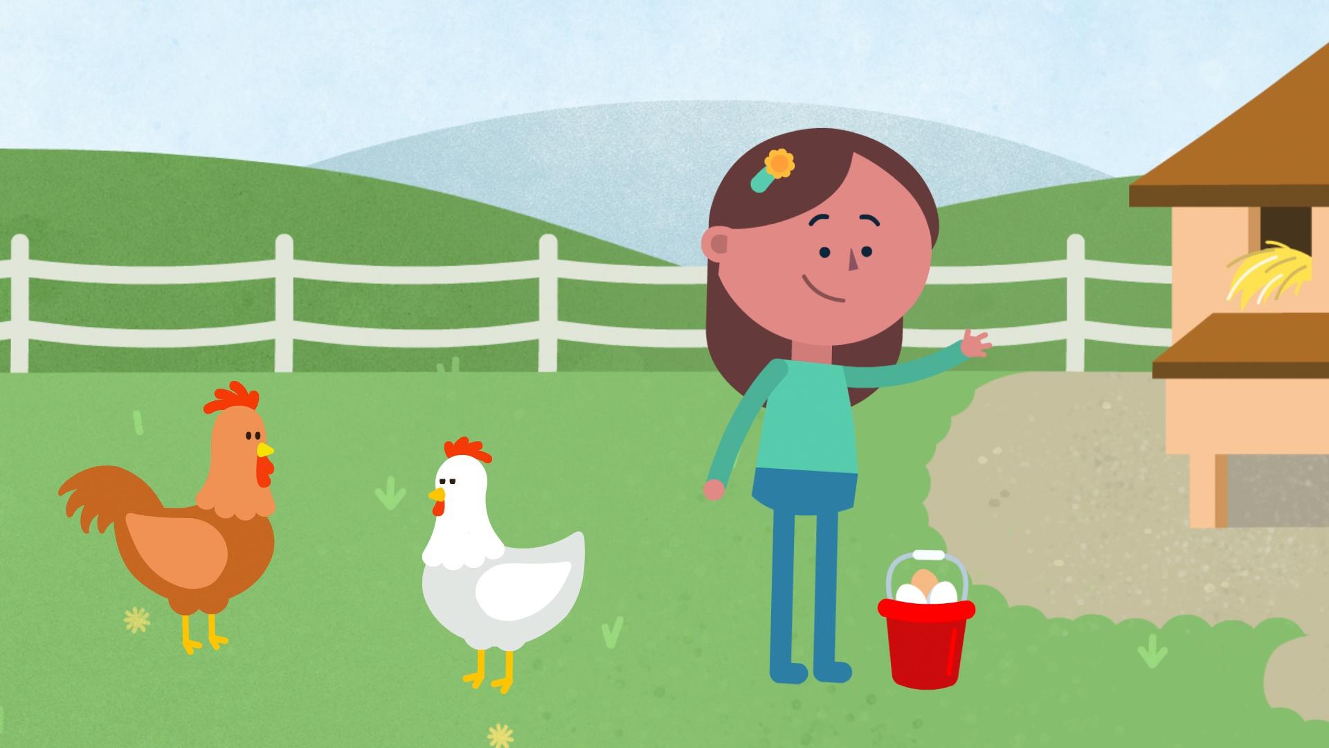 What Comes from an Egg? | Everyday Learning | PBS LearningMedia