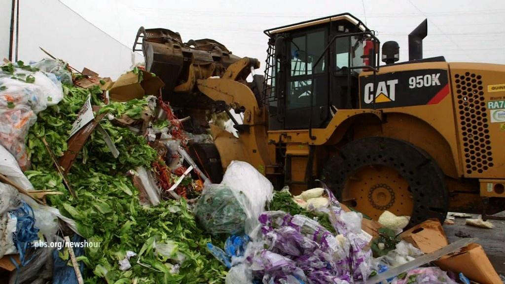 why-do-we-waste-so-much-food-pbs-learningmedia