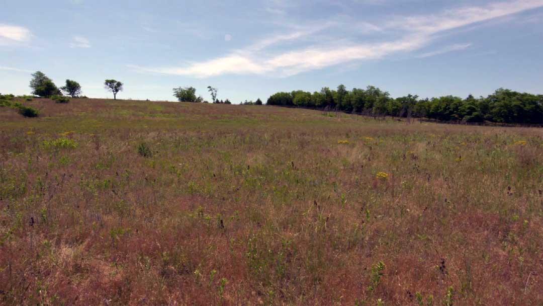 The Geology of Iowa's Big Sand Mound Nature Preserve Iowa Land and