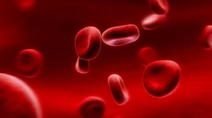 Blood | Science Trek | Science | Video | PBS LearningMedia