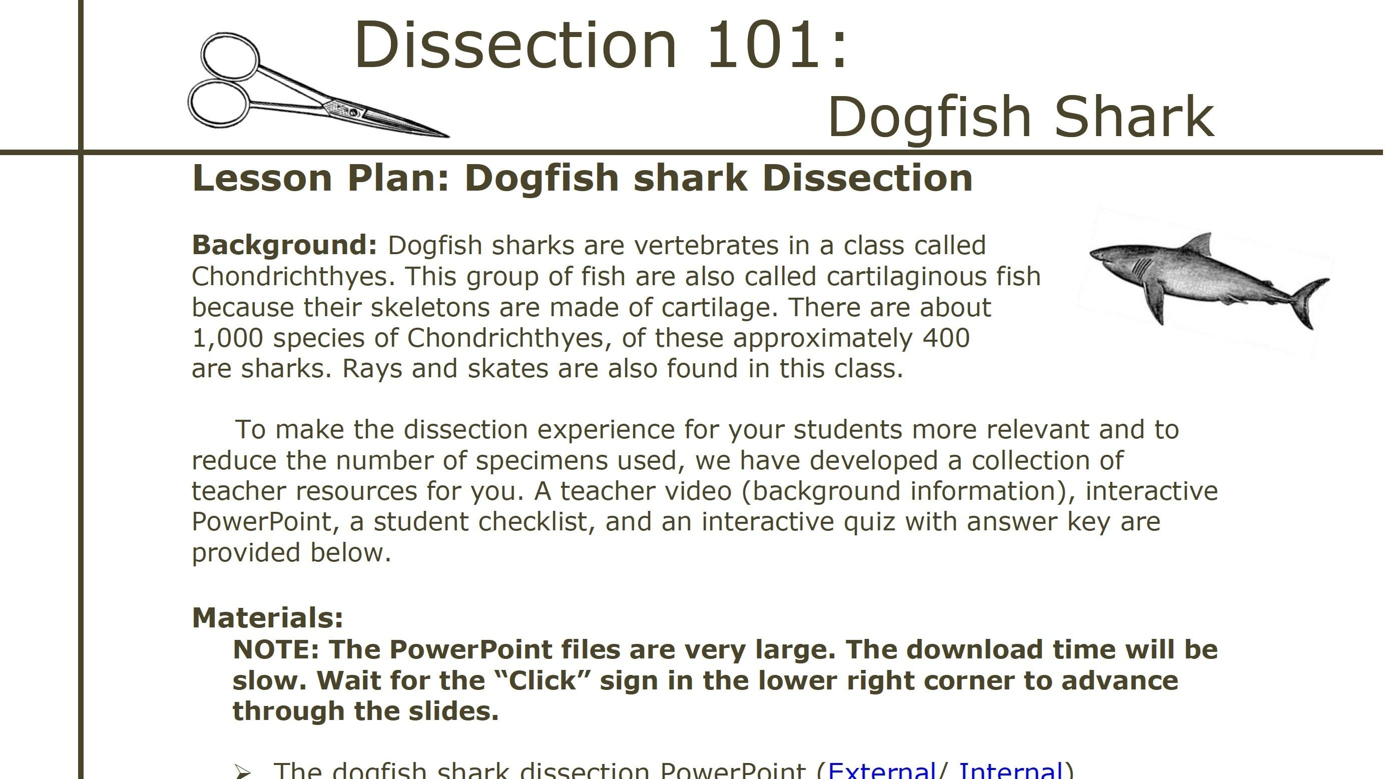 dissection-101-dogfish-shark-dissection-lesson-plan-pbs-learningmedia