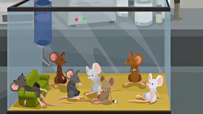 Mouse Party