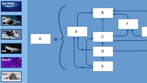 Food Web Chart Maker