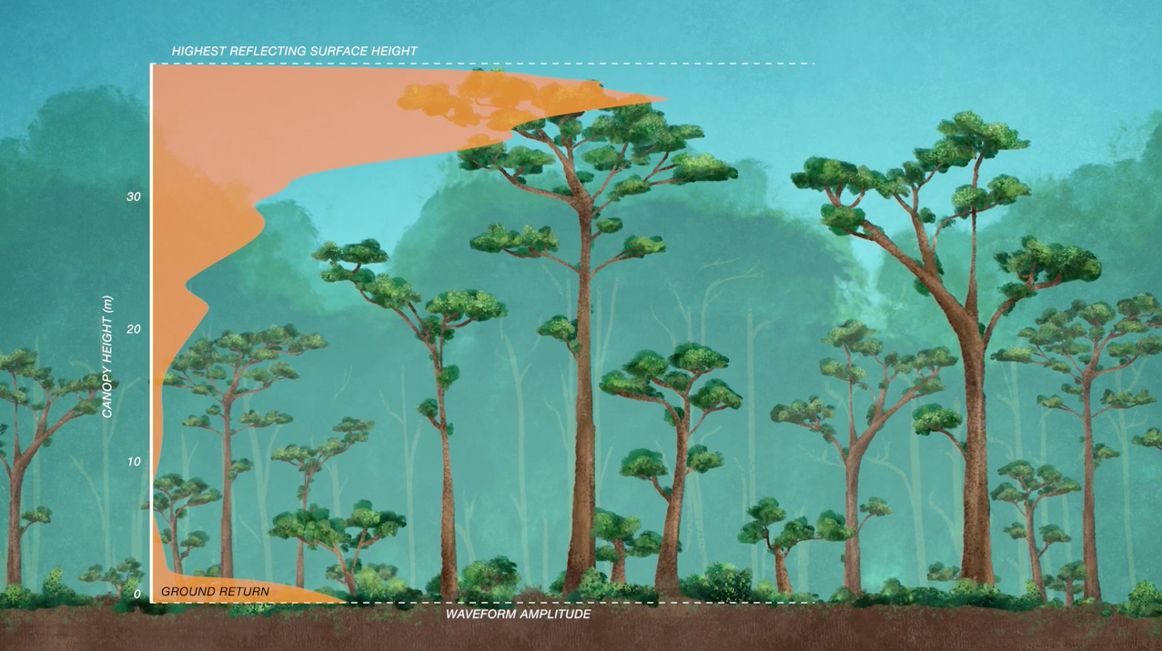 real world the carbon cycle