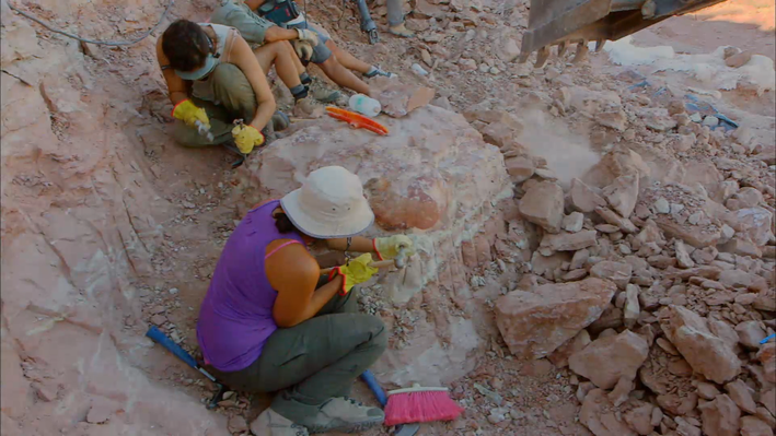 Paleontologists at Work