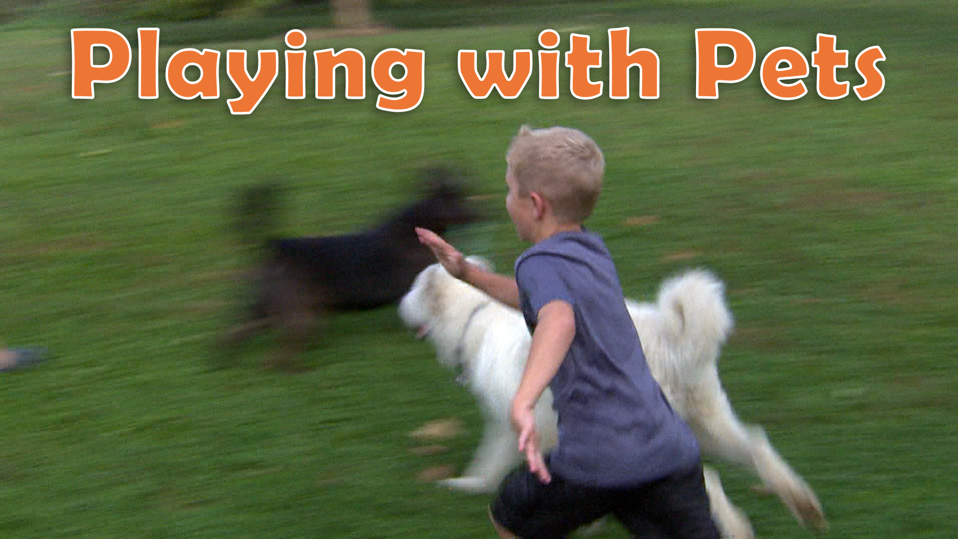 Get Up & Go Play! Playing with Pets PBS LearningMedia