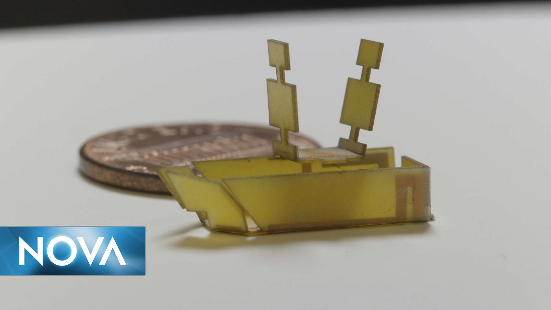 The Origami Revolution | Microrobots From Foldable Designs | PBS ...