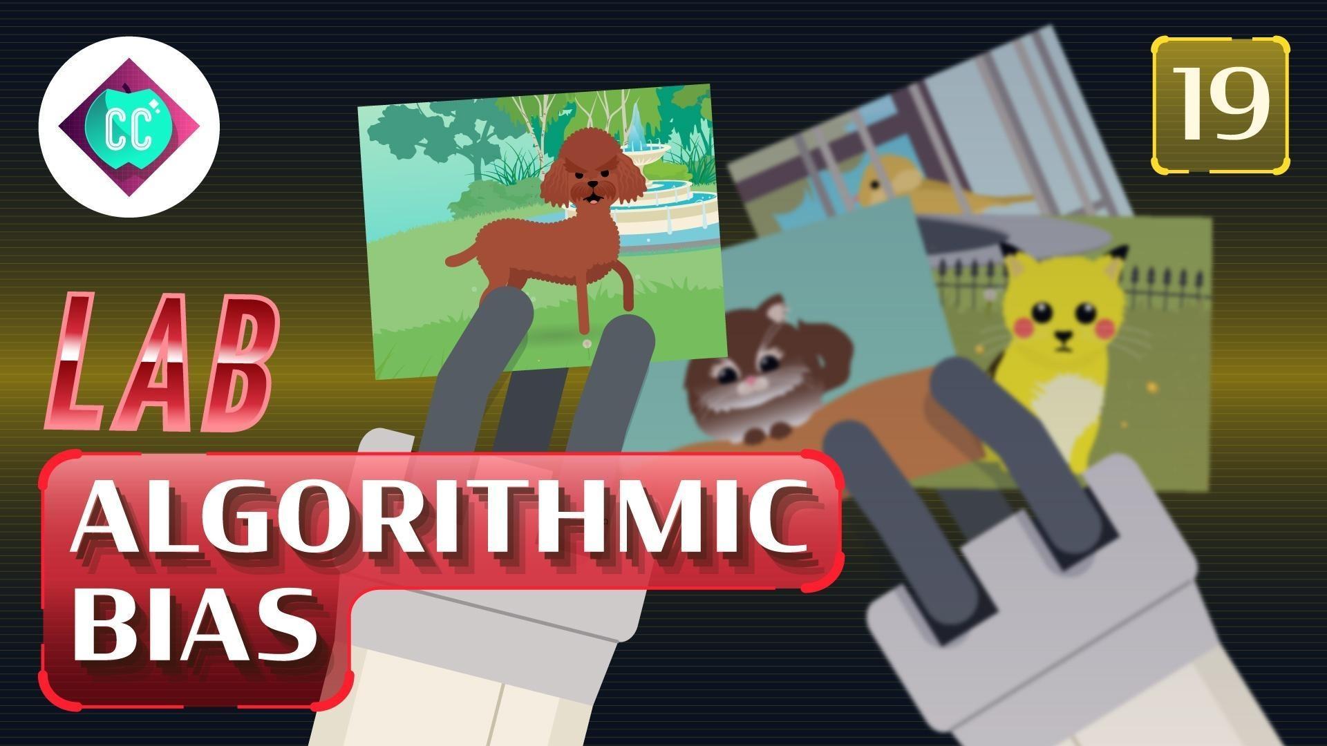 Cats vs Dogs? Let's Make an AI to Settle This (LAB) 19 Crash Course