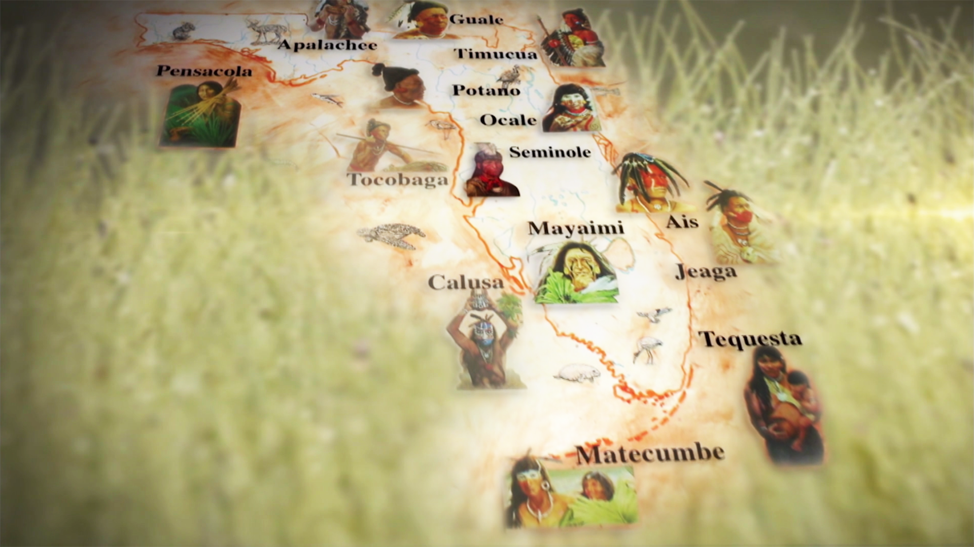 Native Floridians Secrets of Spanish Florida A Secrets of the Dead