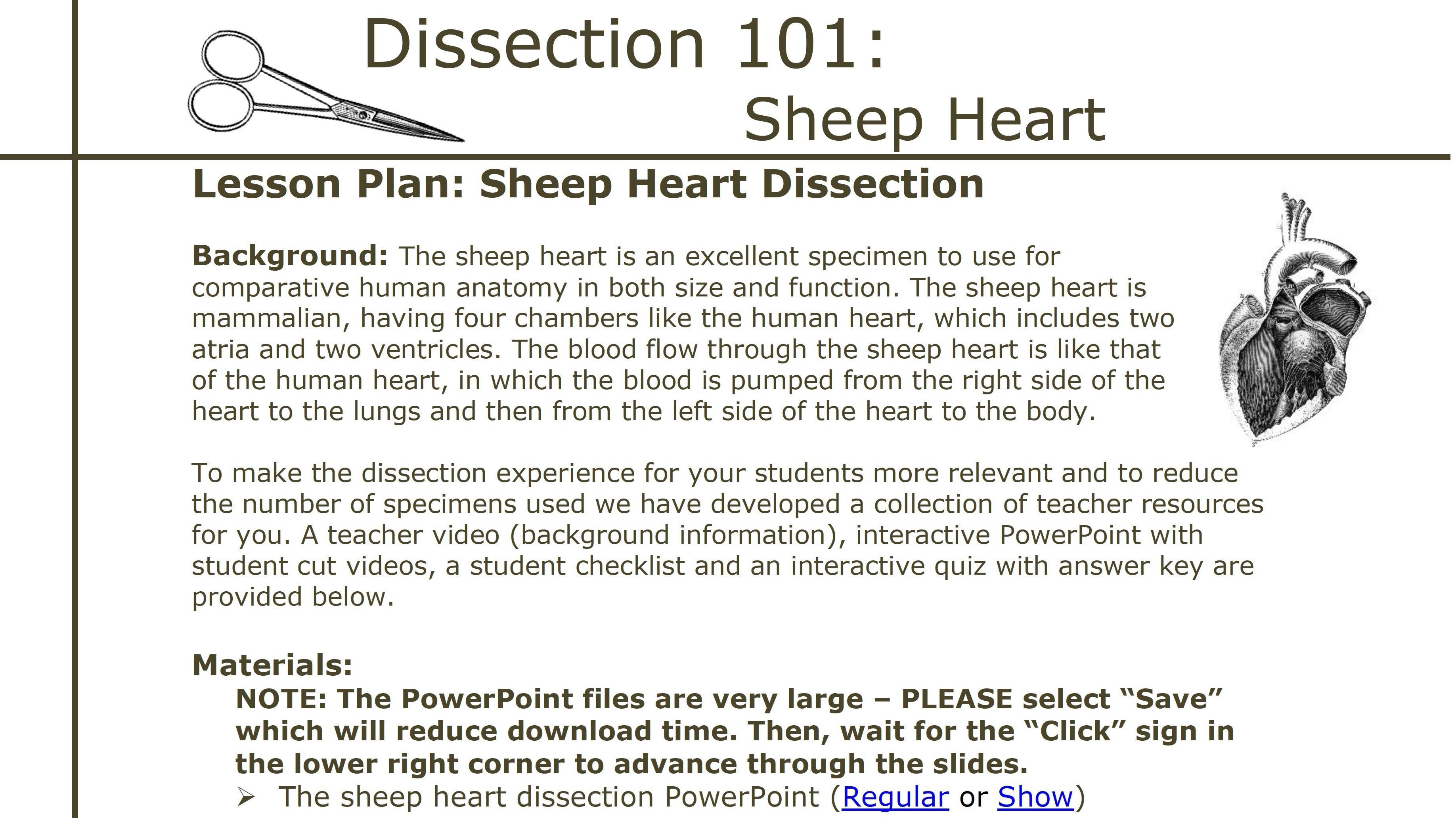 Sheep Heart Dissection  Dissection 25: Dissection Resources for Inside Frog Dissection Worksheet Answer Key