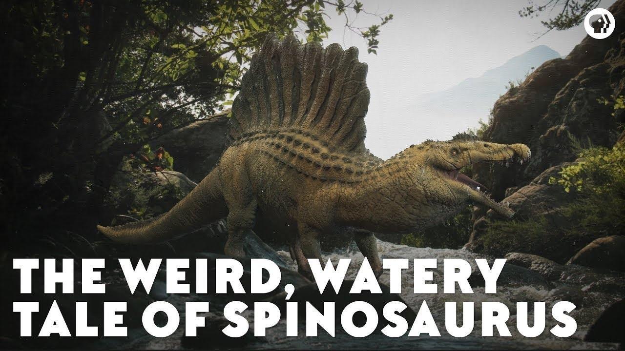 The Weird Watery Tale Of Spinosaurus Eons Pbs Learningmedia