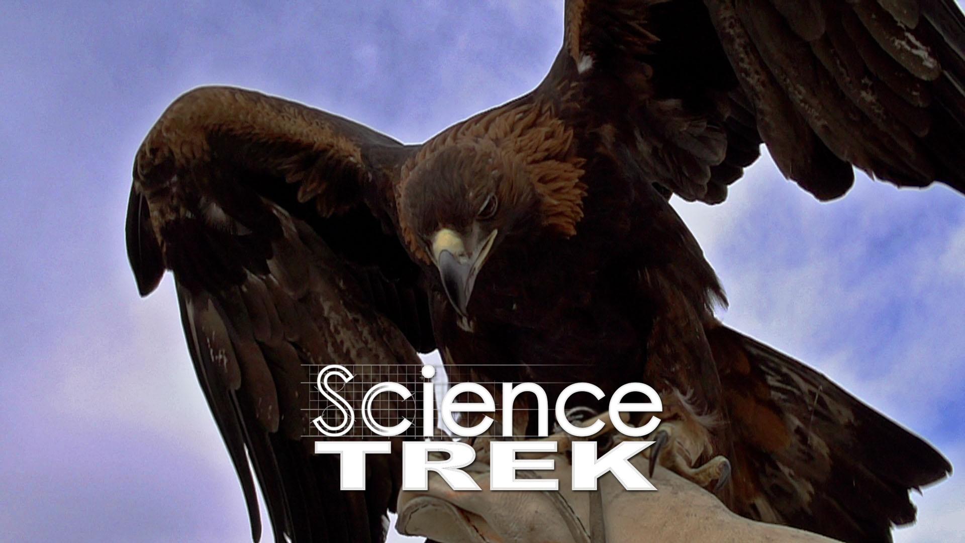 Prey Science Picture