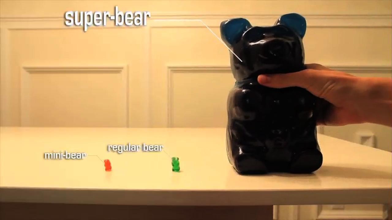 Gummy bear lesson