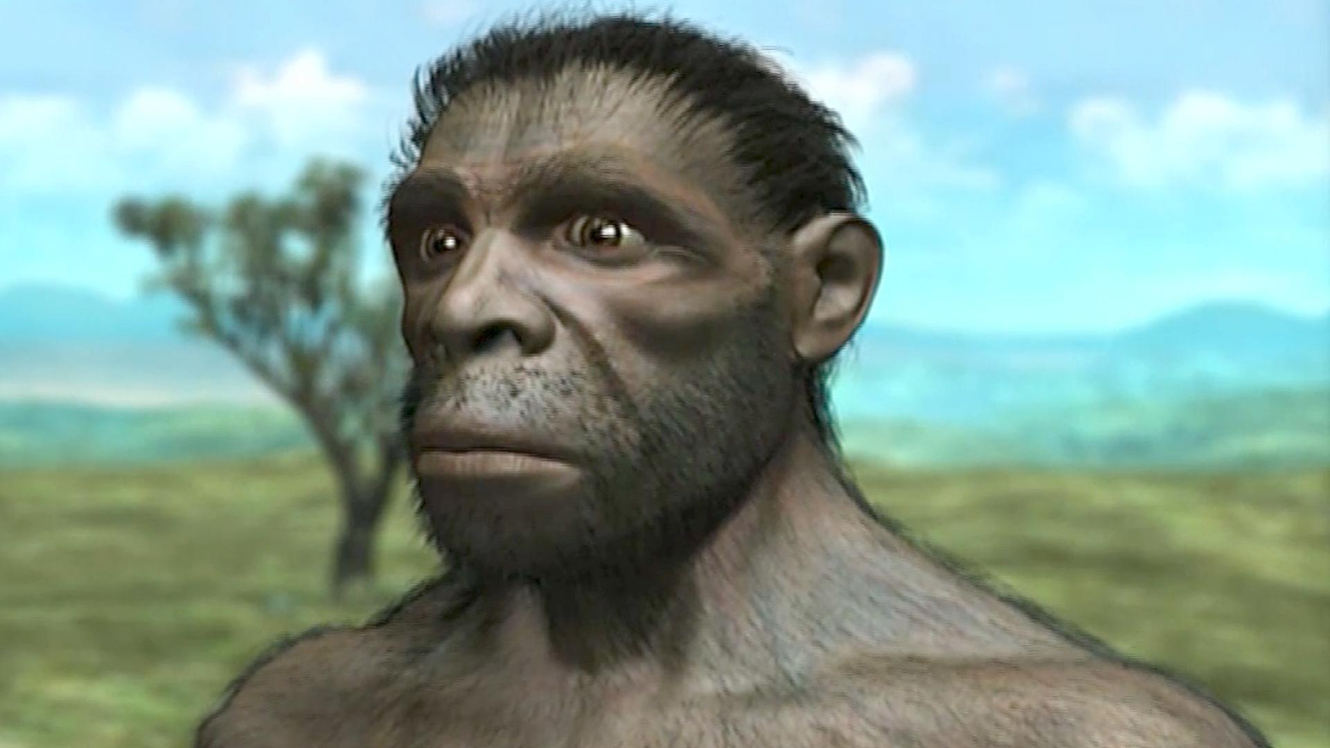 did-humans-evolve-from-apes-youtube