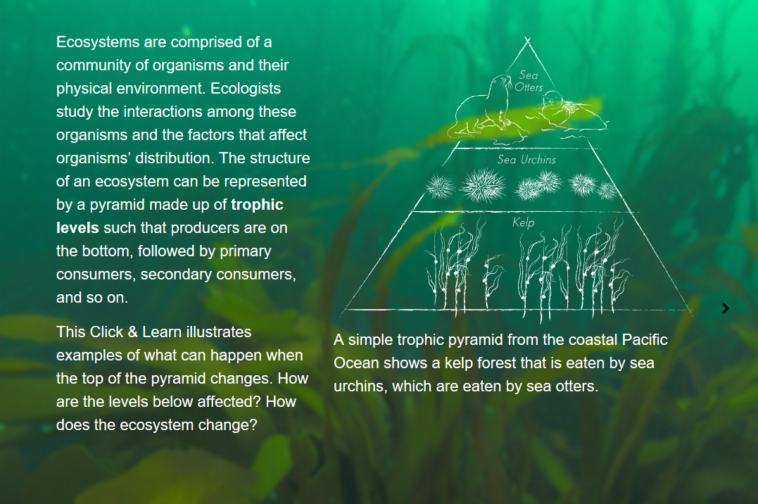 Exploring Trophic Cascades HHMI BioInteractive Module PBS LearningMedia