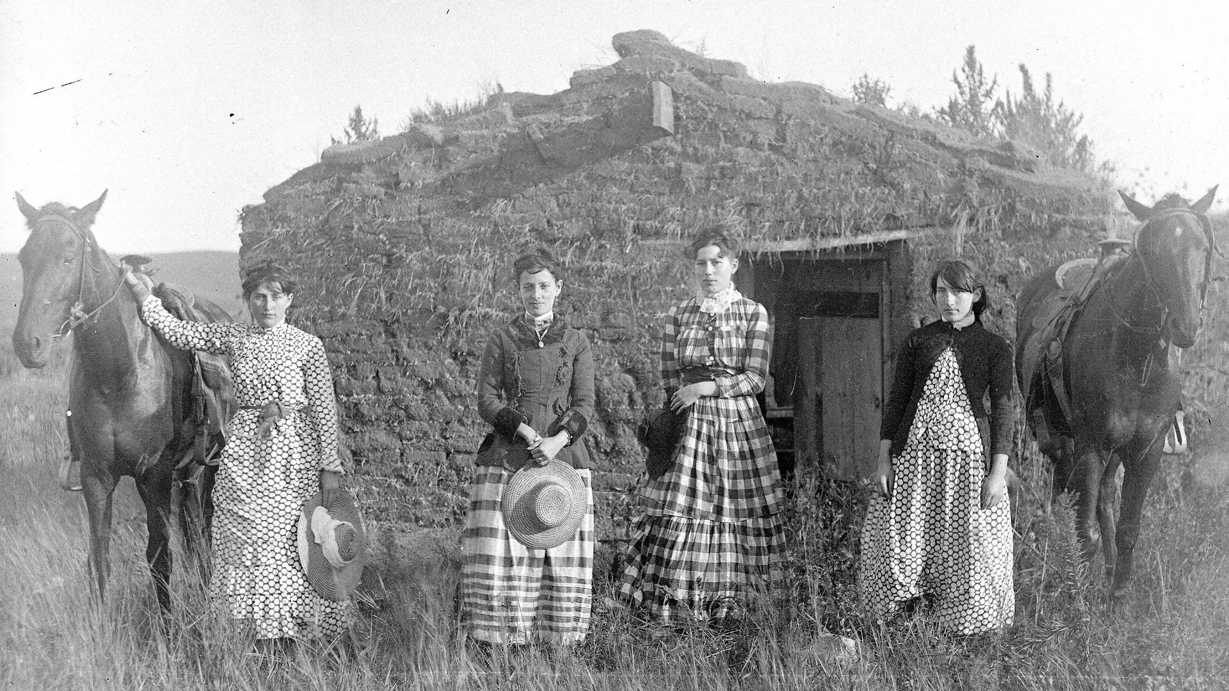 Homesteader Opportunities and Obstacles Interactive Lesson PBS