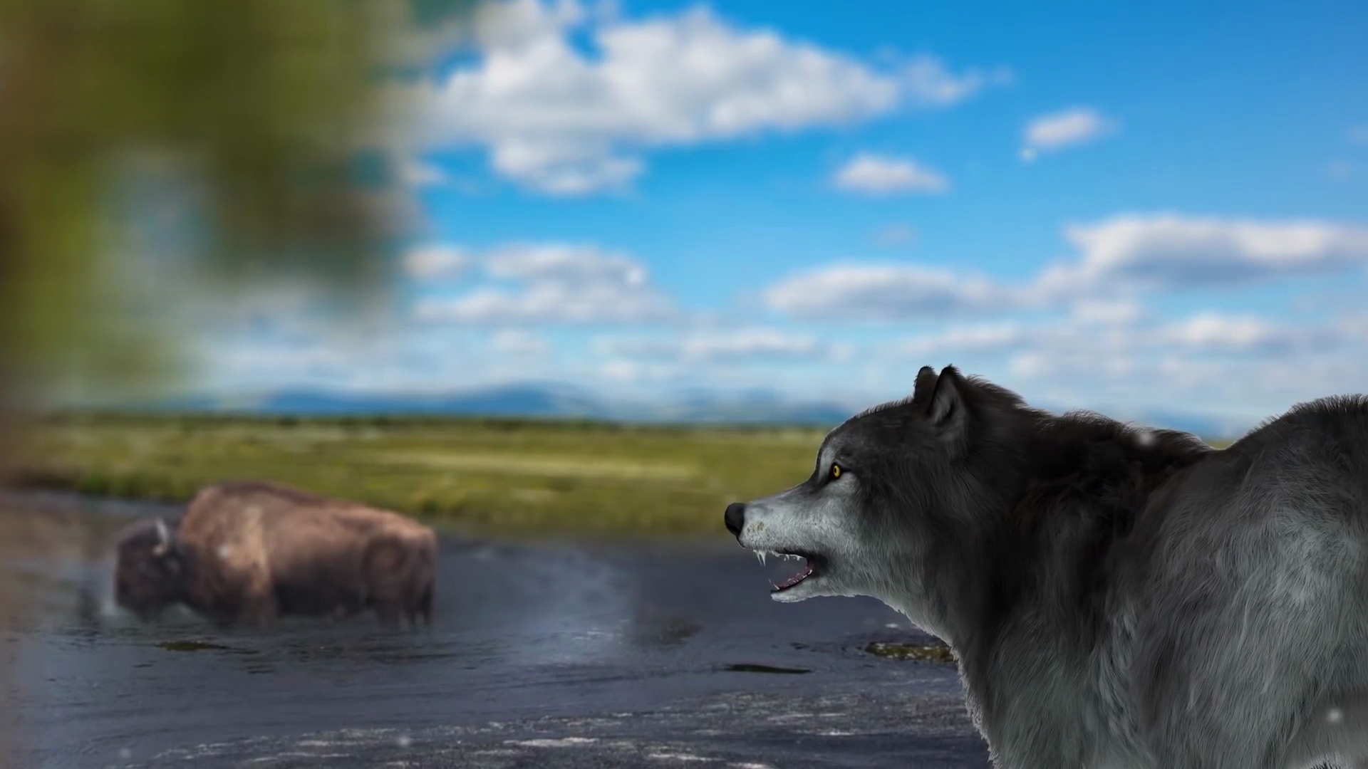 Extinct Dire Wolves Are No Mystery Thanks to Age-Old Death Trap | Eons ...