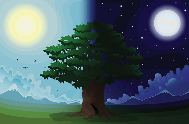 Day and Night Clipart The Arts Image PBS LearningMedia