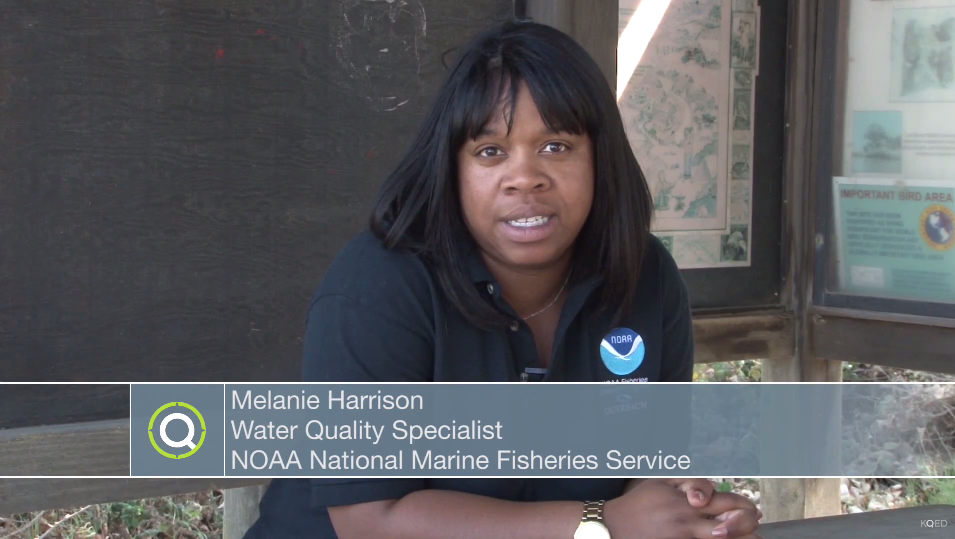 Career Spotlight Water Quality Specialist PBS LearningMedia