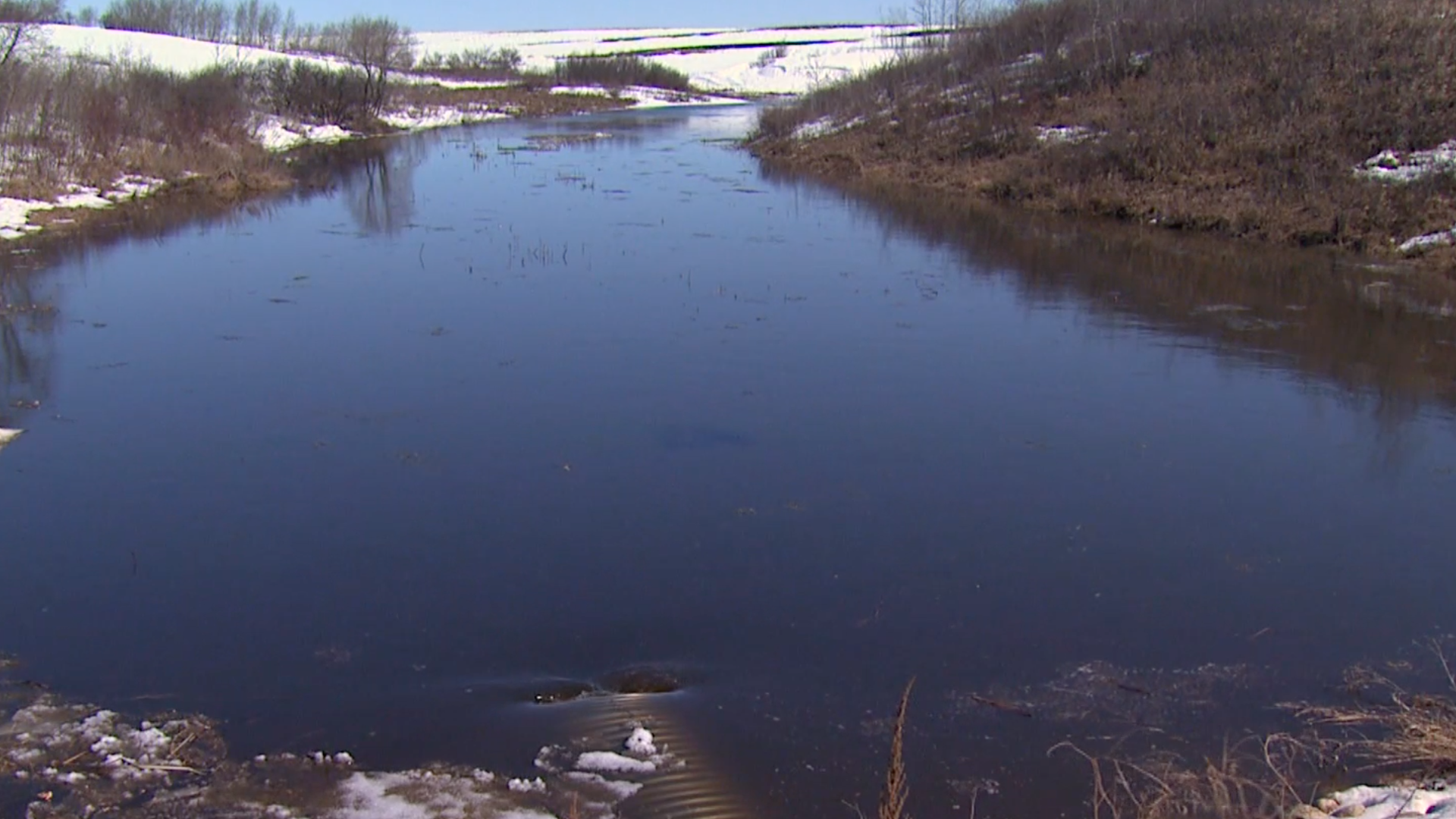 Wetlands The Drain Game What Can Be Done PBS LearningMedia