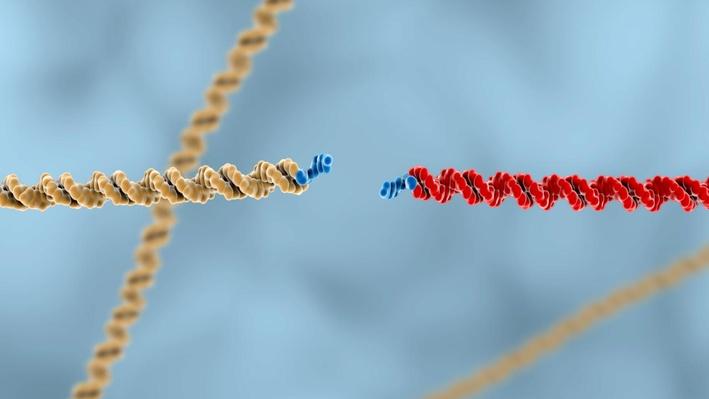 Genetic Engineering and Working with DNA | Science, Engineering