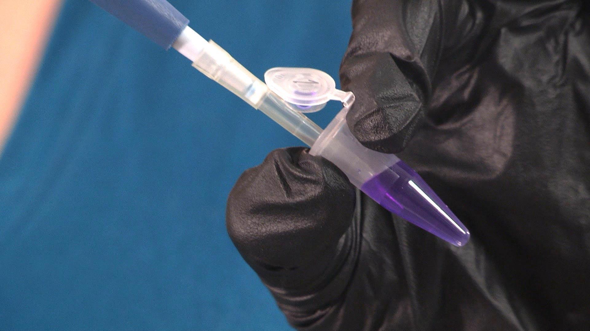 Loading a Micropipette PBS LearningMedia