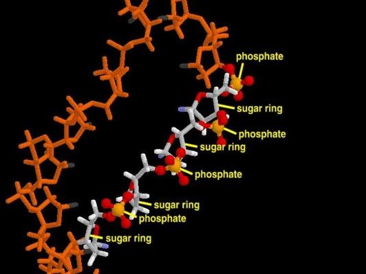 Dna methylation thesis