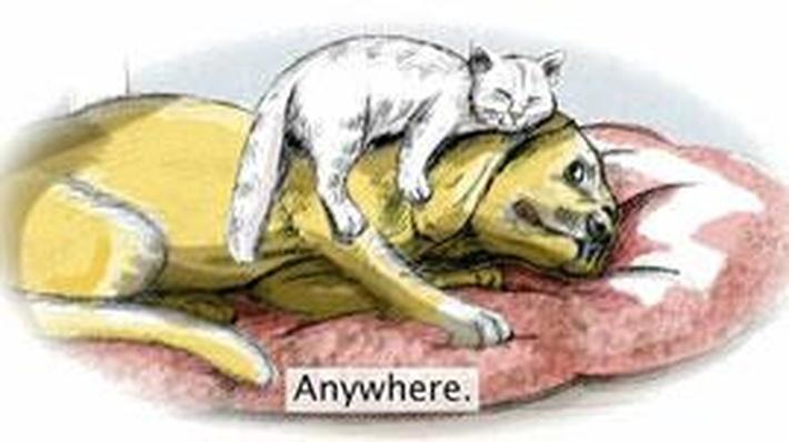 Poem: Cats