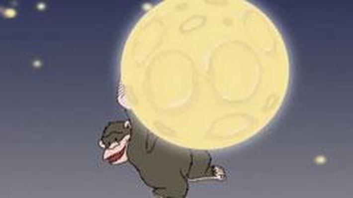 There's a Gorilla!