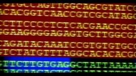 Human Genome Project | PBS LearningMedia