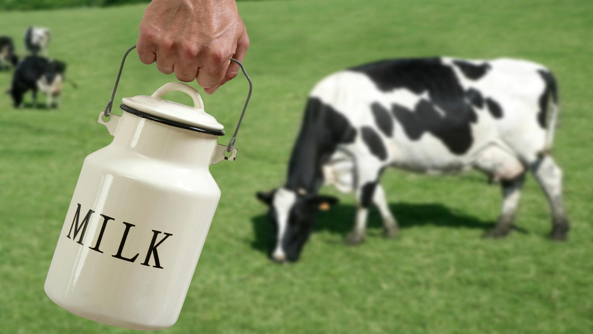 What Do You Get From That? Everyday Learning PBS LearningMedia