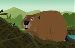 Beaver Lodge | Wild Kratts | PBS LearningMedia