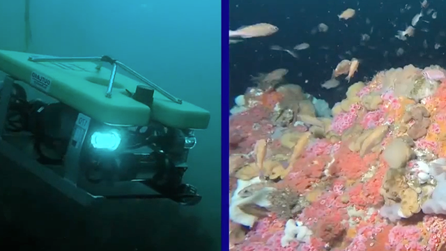 Exploring The Ocean With Robots | NOAA | PBS LearningMedia