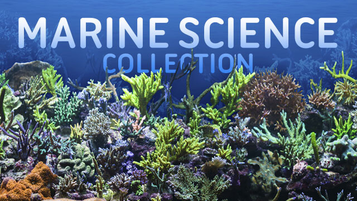 marine science research project ideas
