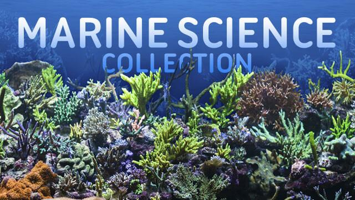 research topics in marine sciences