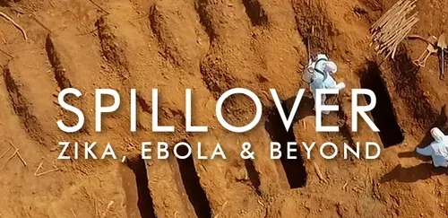 Amazon.com: Spillover - Zika Ebola & Beyond : n/a, n/a
