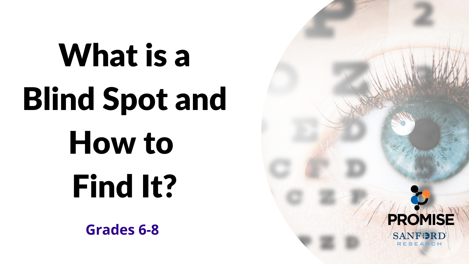 What is a Blind Spot and How to Find It? (Lesson Plan), Sanford PROMISE