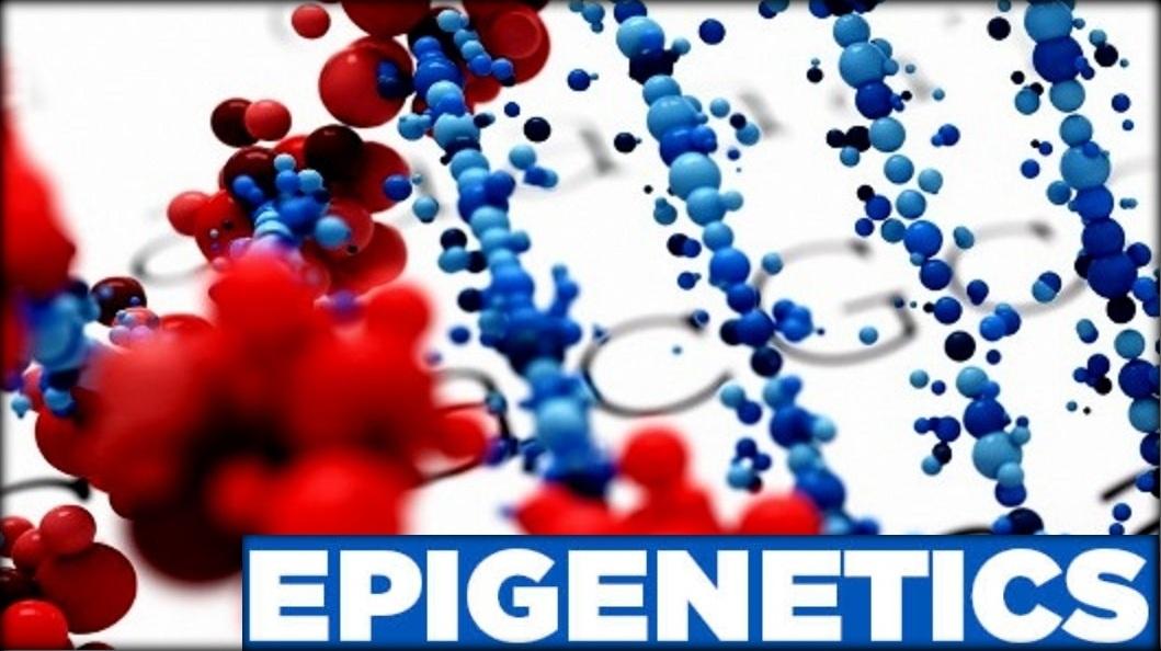 What Is Epigenetics? (Lesson Plan) | Sanford PROMISE | PBS LearningMedia