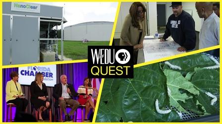 Video thumbnail: WEDU Quest Episode 309