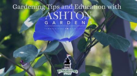 Video thumbnail: Modern Gardener Ashton Gardens Education