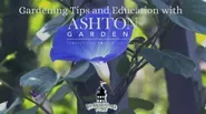 Ashton Gardens Education